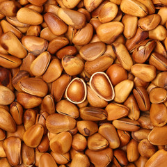 pine nut set as background