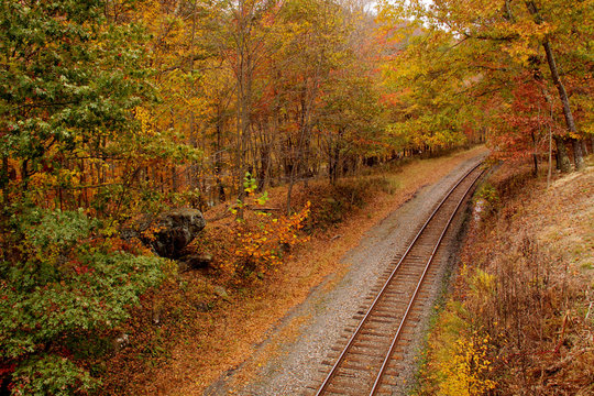 Railroad tracks fading into distance in Autumn forest.
