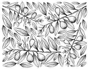 Hand Drawn Background of Australian Beach Cherries