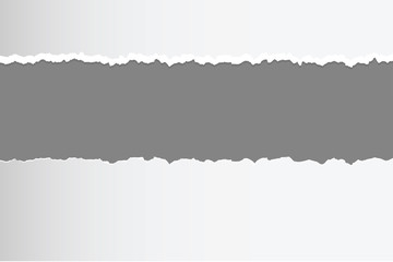 Fototapeta premium vector of ripped torn paper with blank copyspace