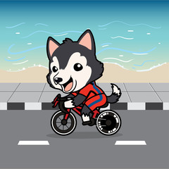 Cute cartoon character design Dark Grey Siberian Husky dog action ridding a bicycle on street , beach background