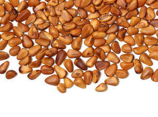 cooked pine nuts isolated on white background