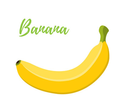 Vector illustration of banana, tropical yellow fruit. Cartoon flat style