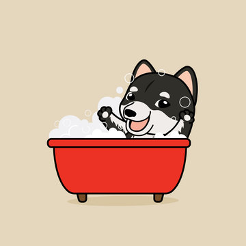Cute cartoon character design Black Shiba Inu dog take a bath in red bathtub with soap bubbles