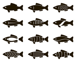 collection of black fish icon isolated