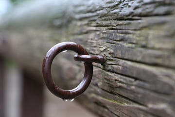 ring zum festmachen von Pferden auf einem Ponyhof bei Regen