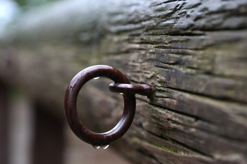 ring zum festmachen von Pferden auf einem Ponyhof bei Regen