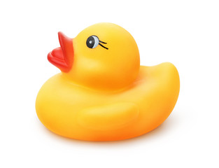 Yellow rubber bath duck