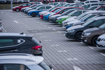 Many new cars parked in a row, ready for export