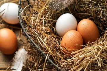  Frische Eier im Korb © jd-photodesign
