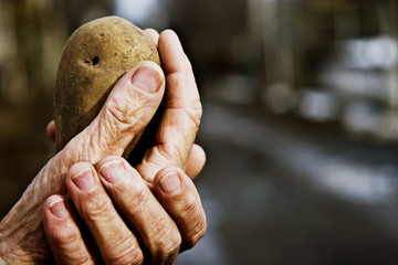 Large potatoes hands of an old grandmother close-up