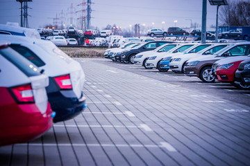 Many new cars parked in a row, ready for export