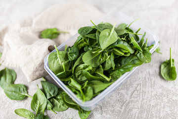 Baby spinach leaves