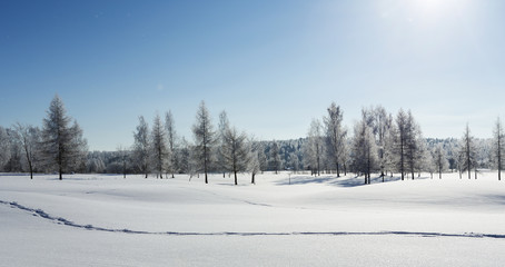 Beautiful wintry landscape. Sunny winter day with freezing temperature.