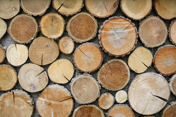 Wood logs background.