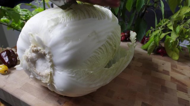 cutting a nappa cabbage in quarter