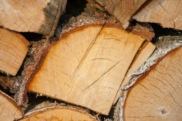 cut and stacked tree