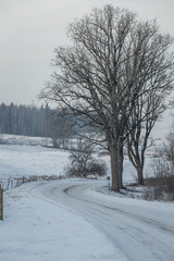 Obraz premium Winter morning, snowy surroundings. A misty morning landscape with countryside and trees. Winter landscape in the countryside, all covered with snow.