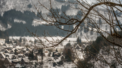 Twig Tree And Snow Mountain Background