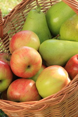 süsse birne und äpfel im korb