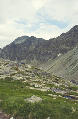 Fototapeta na wymiar Tatra mountains in summer