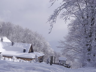 zimowy krajobraz w beskidach