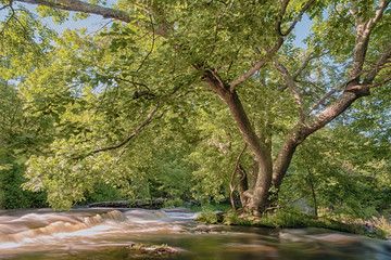 Beautiful Springtime River