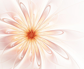 Abstract flower on a light background