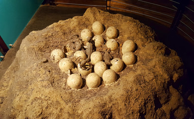 dinosaur eggs in the dark
