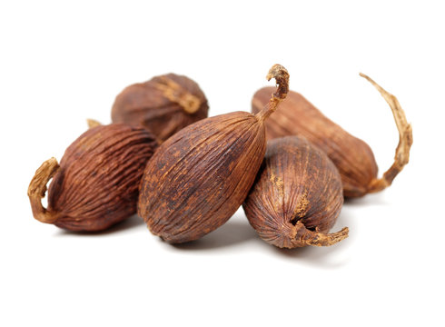 Tsaoko on white background 