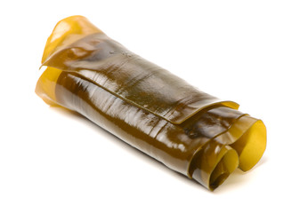 Kelp on the white background