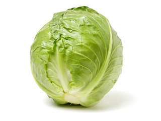 Fototapeta premium cabbage on white background 