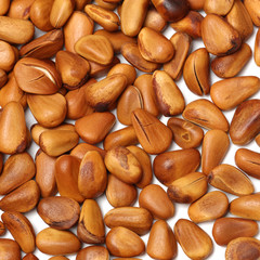 Pine nut isolated on white background 