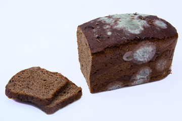 bread with mold