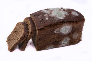 bread with mold