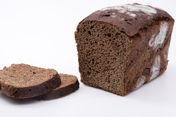 bread with mold