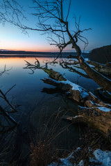 Alter Baum zur blauen Stunde am See