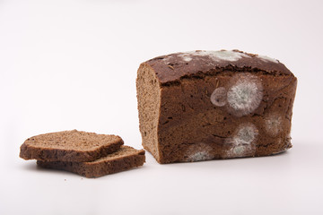 bread with mold