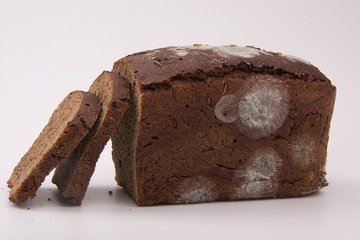 healthy bread with mold, bread with mold