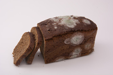 healthy bread with mold, bread with mold