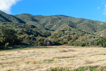 Fototapeta na wymiar Dry meadow grass with lush hillsides in mountains
