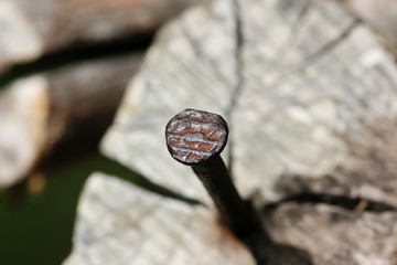 Obraz premium Closeup of the back of a patterned nail in a blurred wooden block