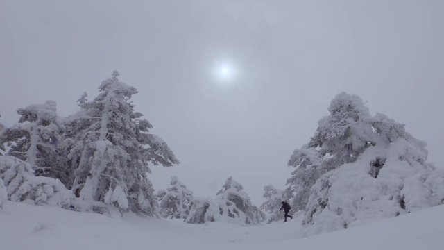 Mountaineer walks through a beautiful snowy landscape.