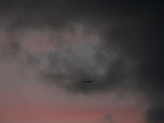 Pôr do sol 