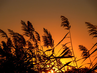 Pôr do sol 