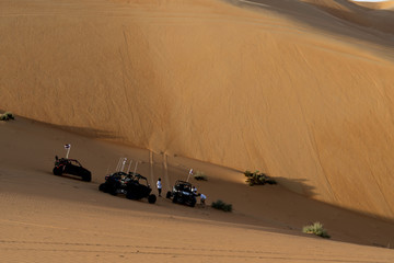 Quady na pustyni w Dubaju - obrazy, fototapety, plakaty