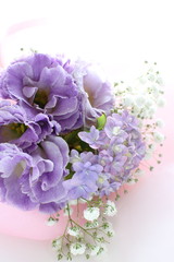 purple flower on white background 