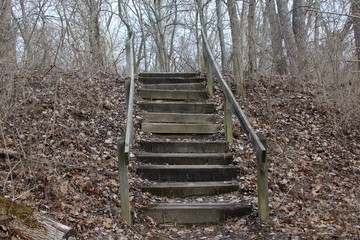 The old wooden steps up the hill of the trail in the forest.