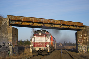 Spalinowóz z pociągiem przejeżdża pod wiaduktem kolejowym © Erap2