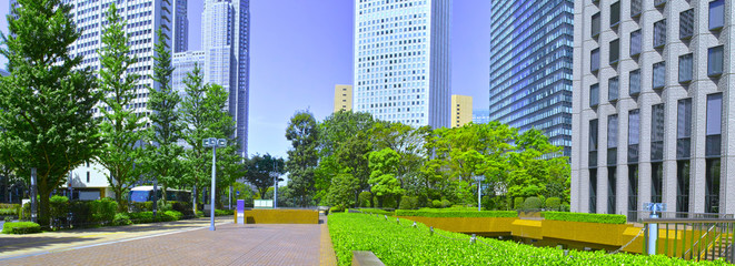 新緑の新宿副都心の風景(パノラマ)
